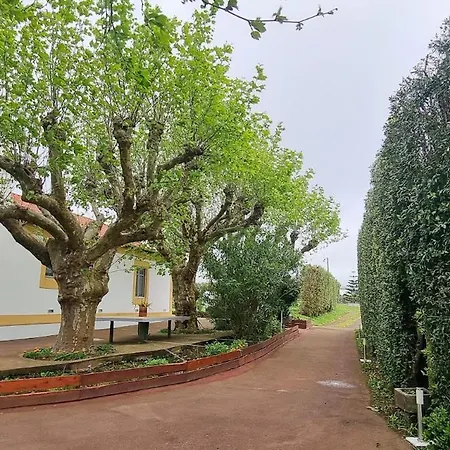 Quinta Sao Jose Da * 蓬塔德尔加达