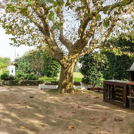 Quinta Sao Jose Da Relva Holiday home *
